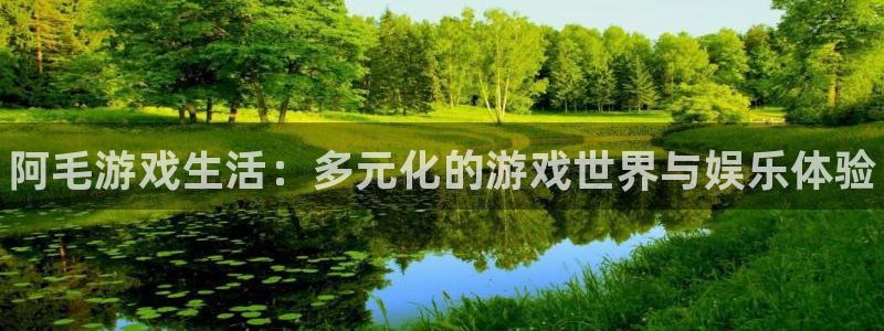 天美娱乐下载链接：阿毛游戏生活：多元化的游戏世界与娱乐体验