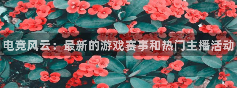 天美娱乐怎么注册：电竞风云：最新的游戏赛事和热门主播活动