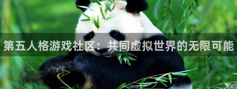 天美娱乐登录：第五人格游戏社区：共同虚拟世界的无限可能