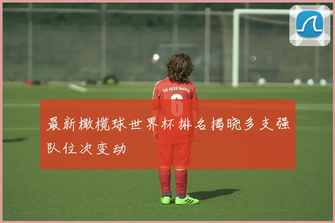 最新橄榄球世界杯排名揭晓多支强队位次变动