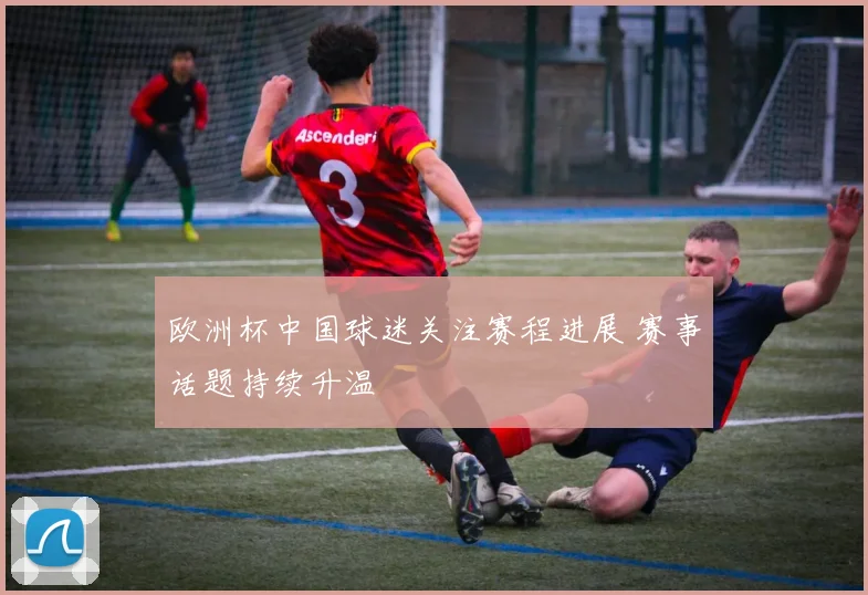 欧洲杯中国球迷关注赛程进展 赛事话题持续升温