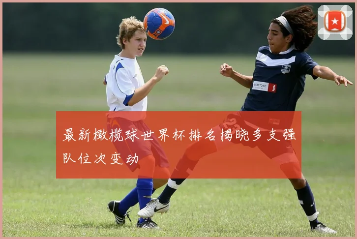最新橄榄球世界杯排名揭晓多支强队位次变动