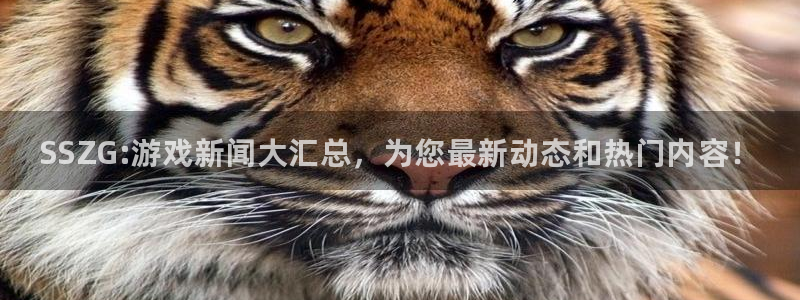 天美娱乐平台注册：SSZG:游戏新闻大汇总，为您最新动态和热