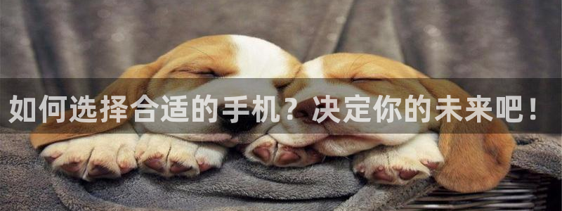 天美娱乐注册测速：如何选择合适的手机？决定你的未来吧！